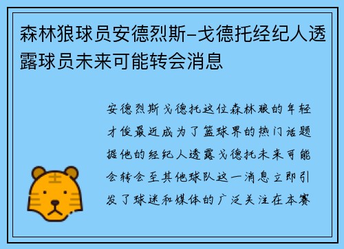 森林狼球员安德烈斯-戈德托经纪人透露球员未来可能转会消息