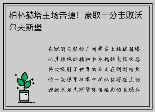 柏林赫塔主场告捷！豪取三分击败沃尔夫斯堡