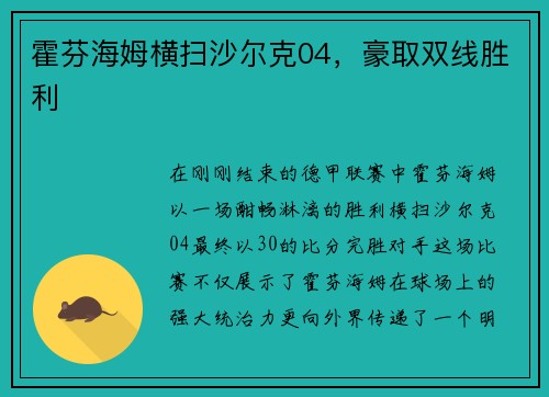霍芬海姆横扫沙尔克04，豪取双线胜利