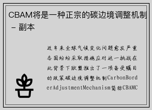 CBAM将是一种正宗的碳边境调整机制 - 副本
